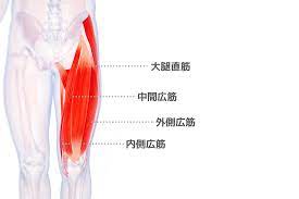 No 13 太もも前側にある筋肉 大腿四頭筋 の硬さをチェック 前ももを柔らかくするストレッチも紹介 スターティングフィットネスジャパン No 13 太もも前側にある筋肉 大腿四頭筋 の硬さをチェック 前ももを柔らかくするストレッチも紹介 スターティングフィットネスジャパン